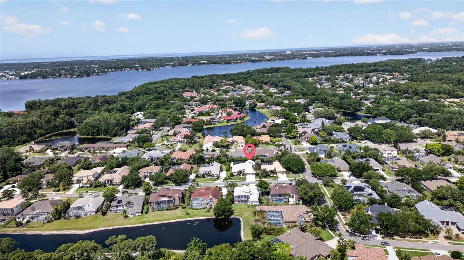 4052 CAPITOL DR, PALM HARBOR, FL — photo 5