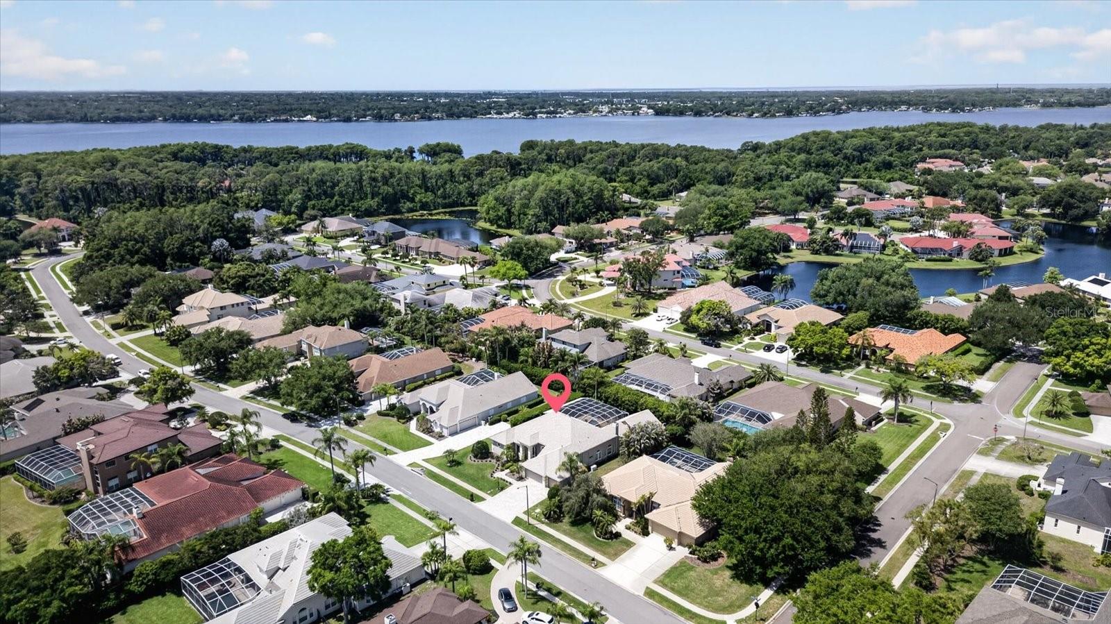 4052 CAPITOL DR, PALM HARBOR, FL — photo 6