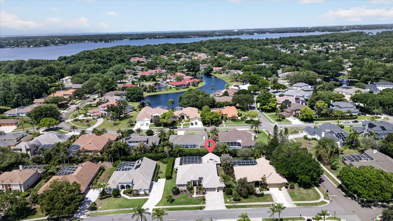 4052 CAPITOL DR, PALM HARBOR, FL — photo 7