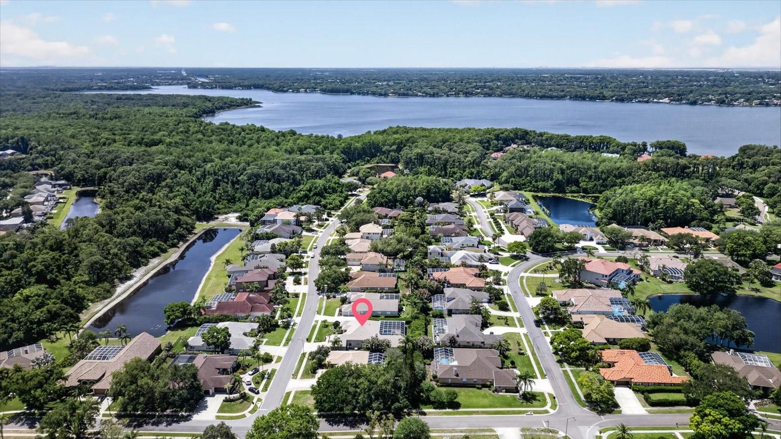 4052 CAPITOL DR, PALM HARBOR, FL — photo 8