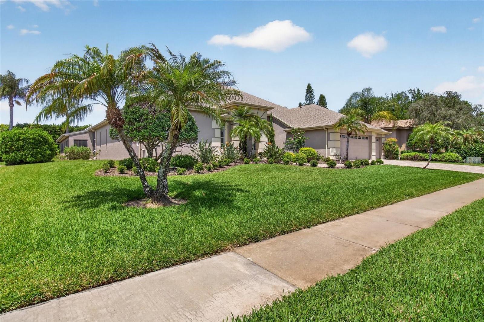 4052 CAPITOL DR, PALM HARBOR, FL — photo 10