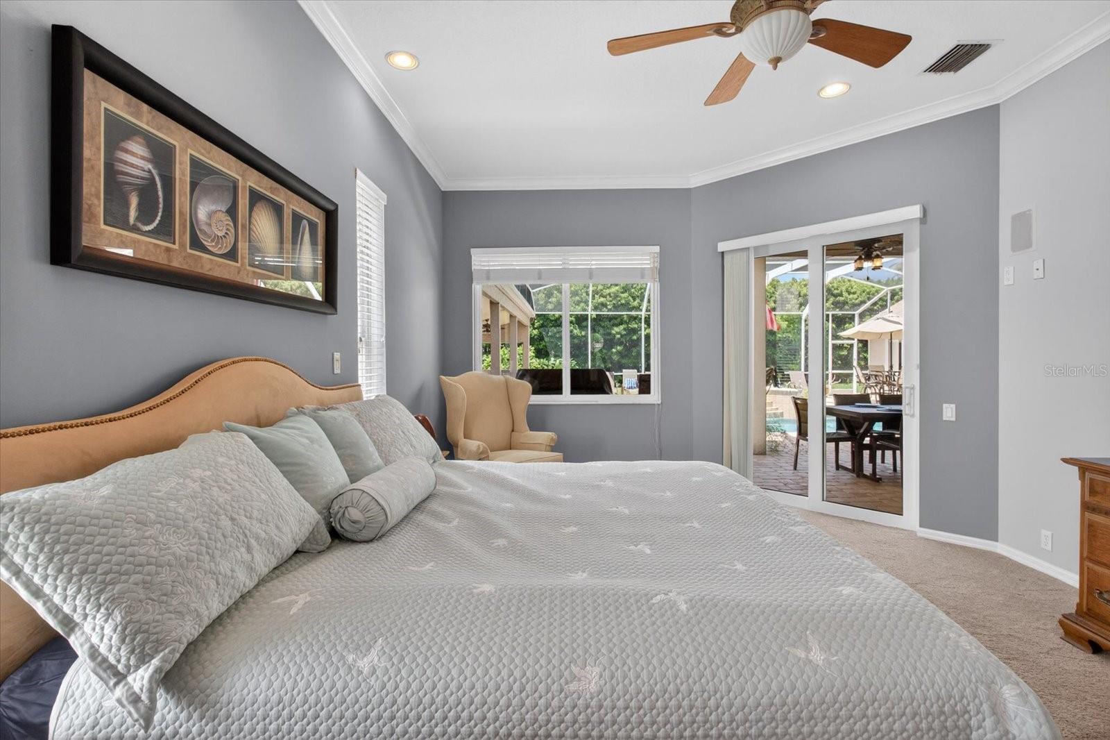 4052 CAPITOL DR, PALM HARBOR, FL — photo 24