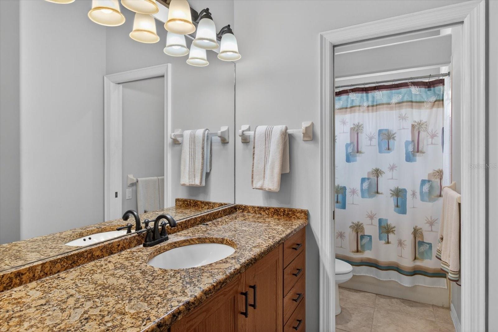 4052 CAPITOL DR, PALM HARBOR, FL — photo 46