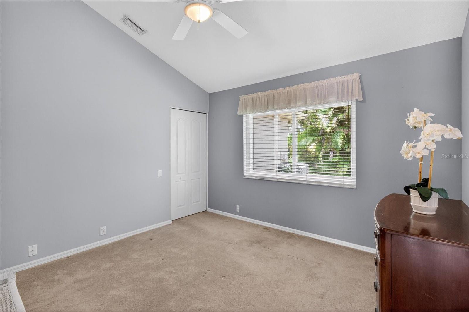 4052 CAPITOL DR, PALM HARBOR, FL — photo 50
