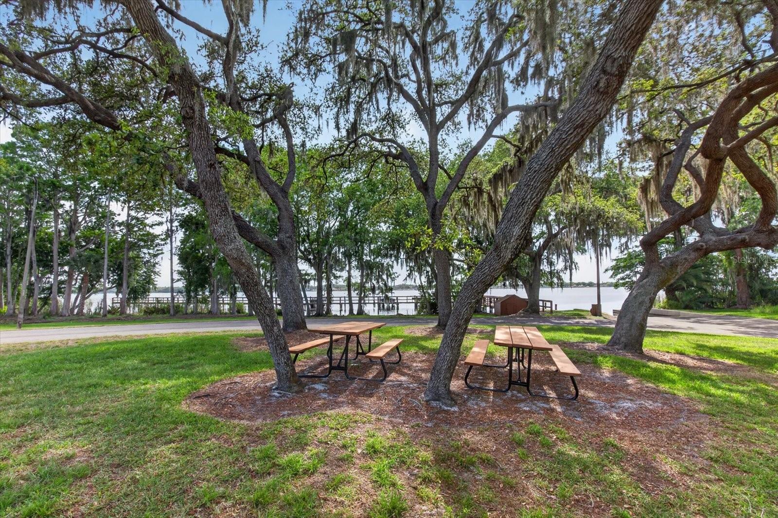 4052 CAPITOL DR, PALM HARBOR, FL — photo 76