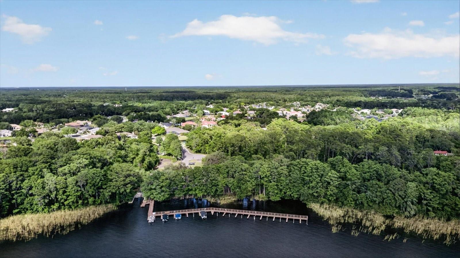 4052 CAPITOL DR, PALM HARBOR, FL — photo 80