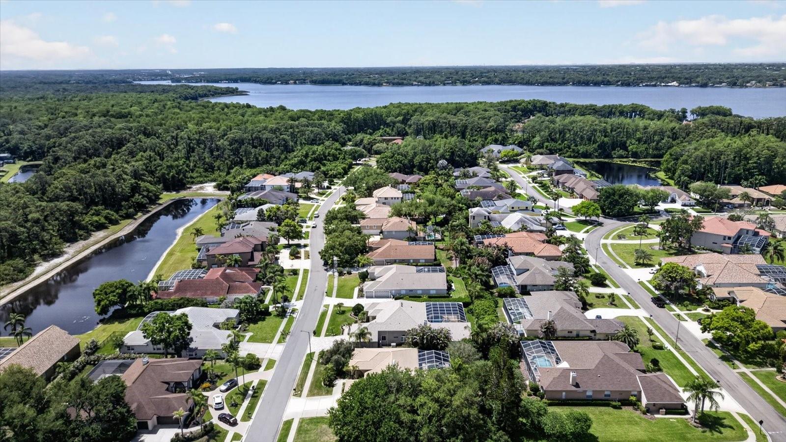 4052 CAPITOL DR, PALM HARBOR, FL — photo 82