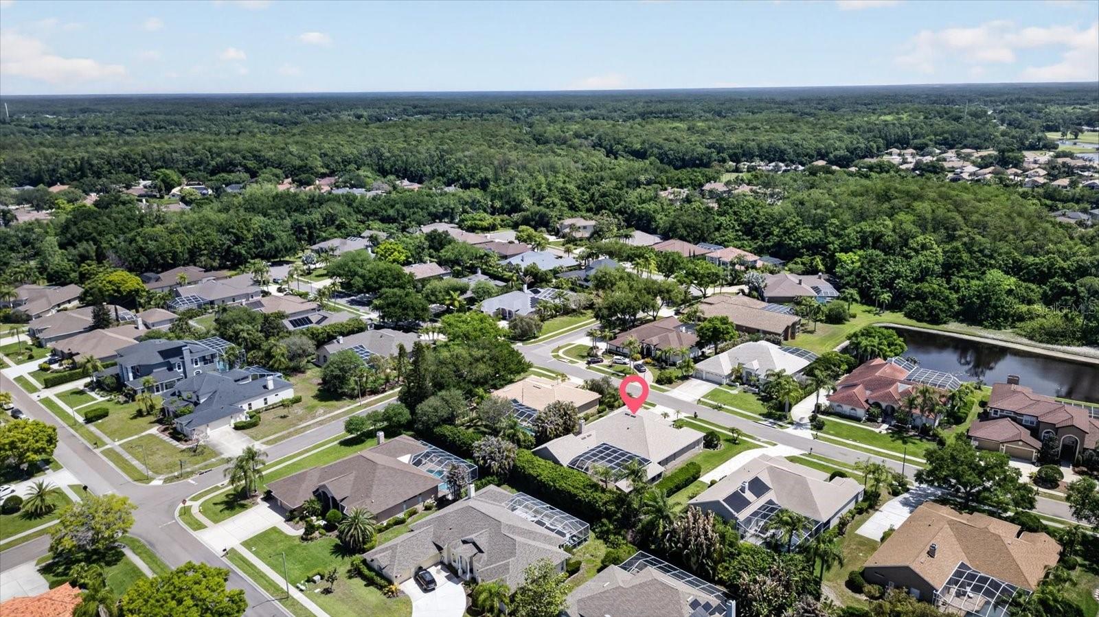 4052 CAPITOL DR, PALM HARBOR, FL — photo 83