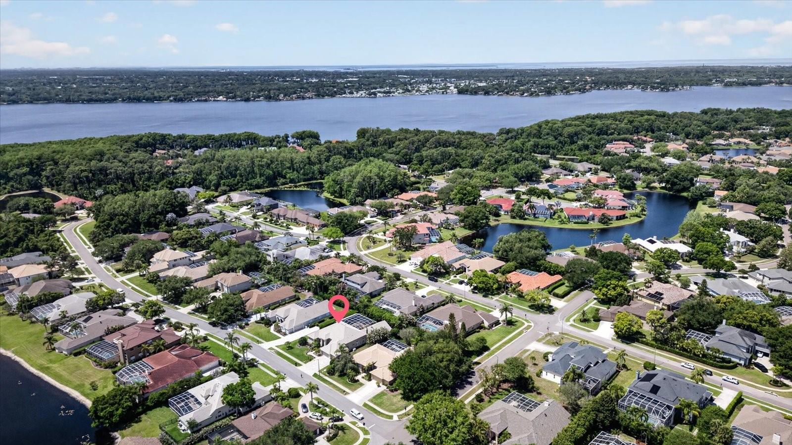 4052 CAPITOL DR, PALM HARBOR, FL — photo 84