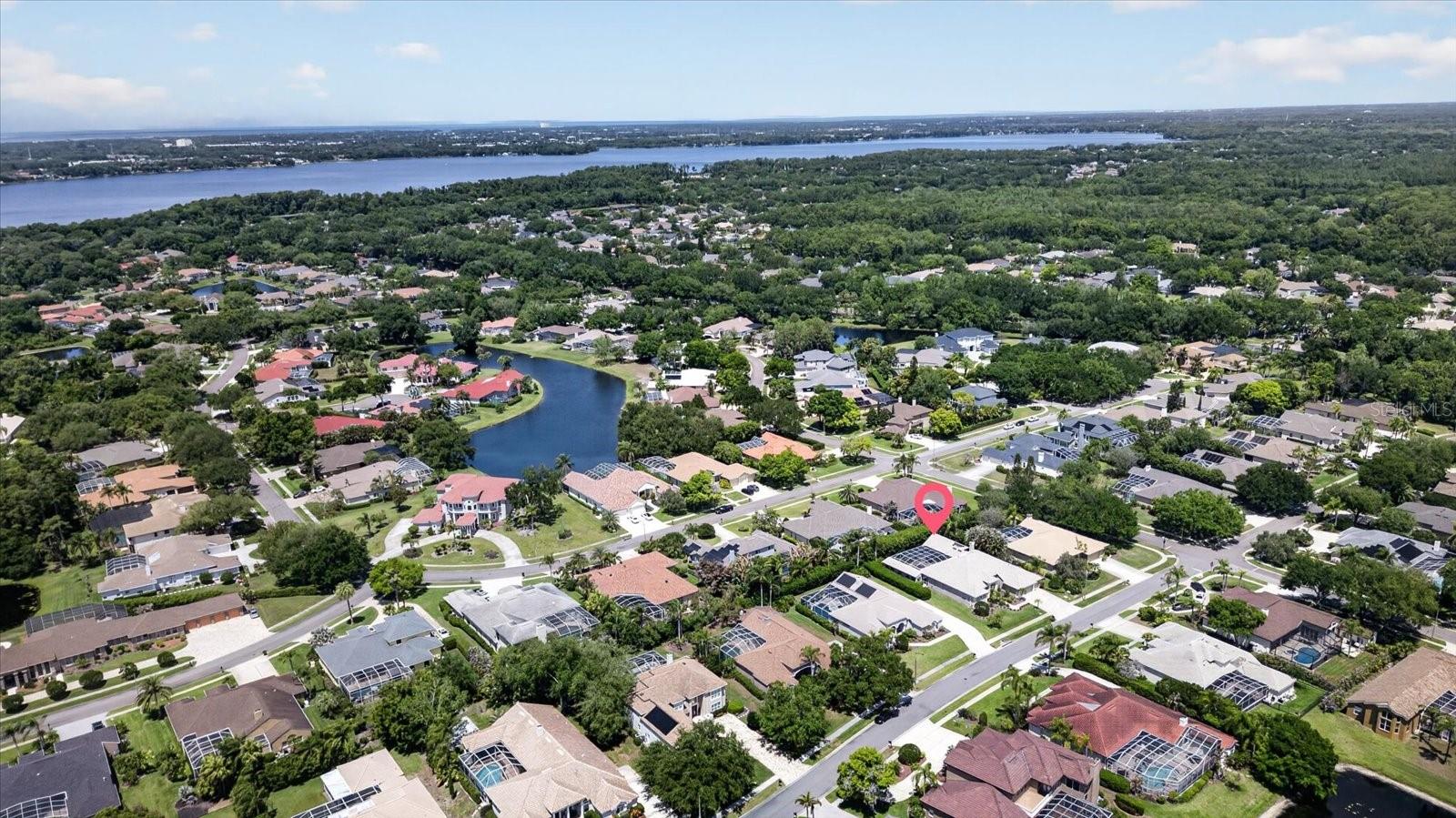 4052 CAPITOL DR, PALM HARBOR, FL — photo 85