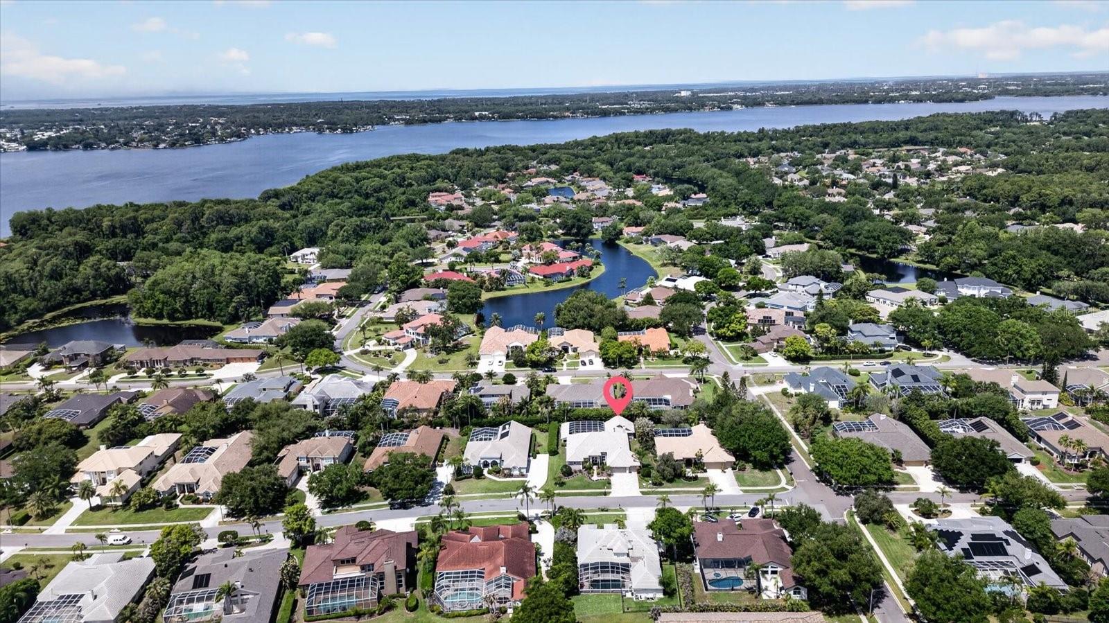4052 CAPITOL DR, PALM HARBOR, FL — photo 86