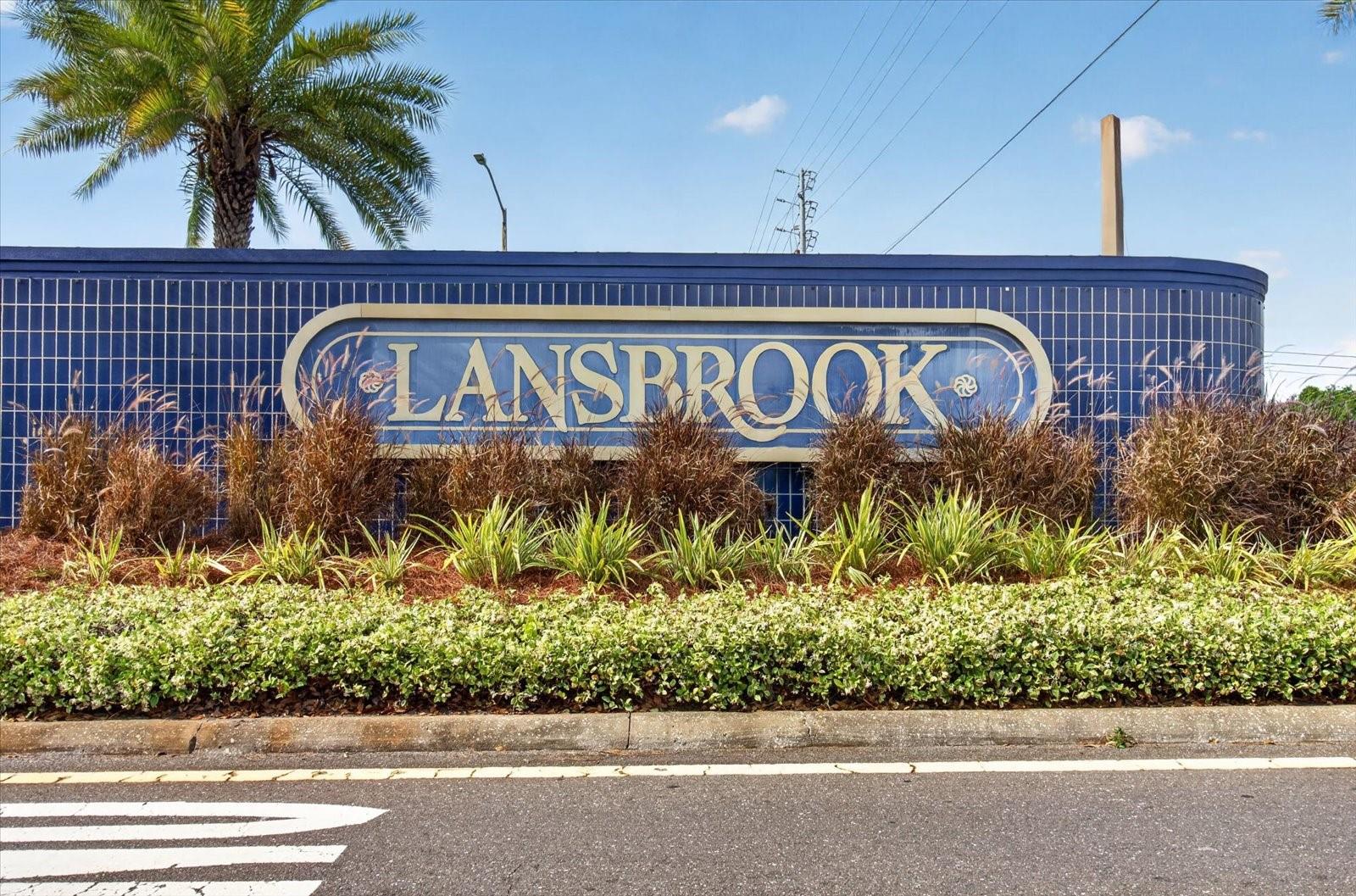 4052 CAPITOL DR, PALM HARBOR, FL — photo 87