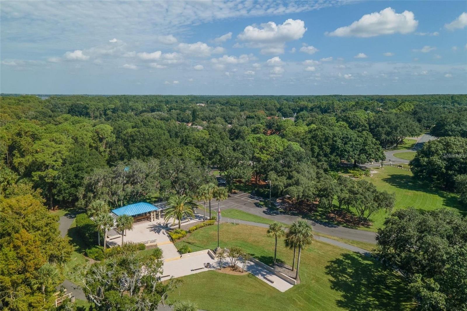 4052 CAPITOL DR, PALM HARBOR, FL — photo 88