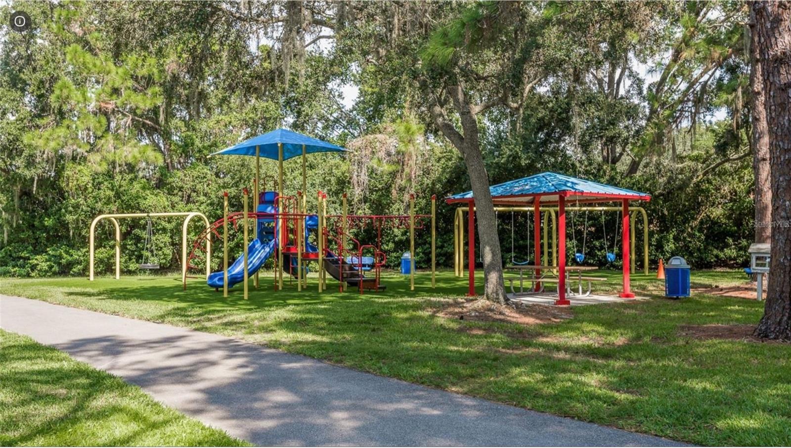 4052 CAPITOL DR, PALM HARBOR, FL — photo 97