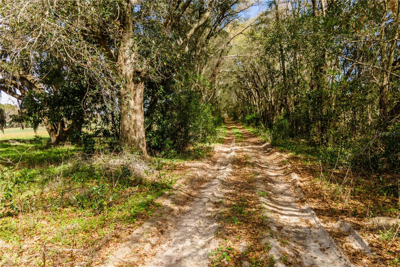 TBD SW 298 ST, NEWBERRY, FL