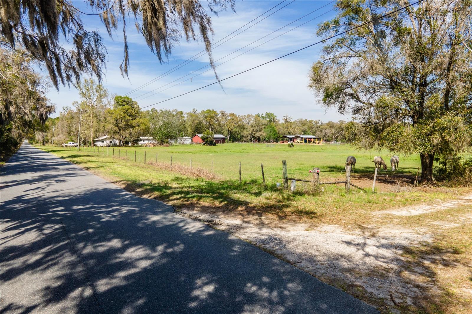 TBD SW 298 ST, NEWBERRY, FL — photo 2
