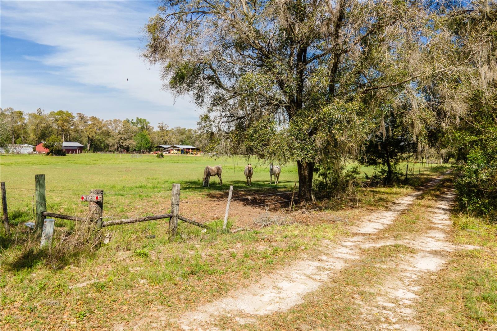 TBD SW 298 ST, NEWBERRY, FL — photo 3