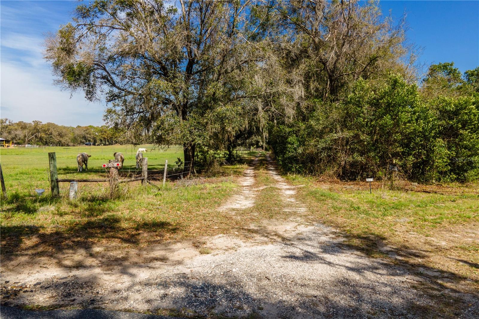TBD SW 298 ST, NEWBERRY, FL — photo 4