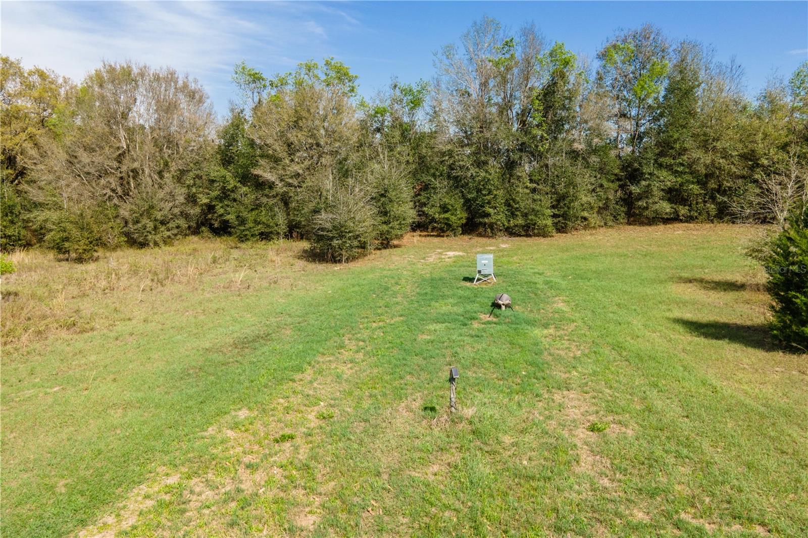 TBD SW 298 ST, NEWBERRY, FL — photo 15