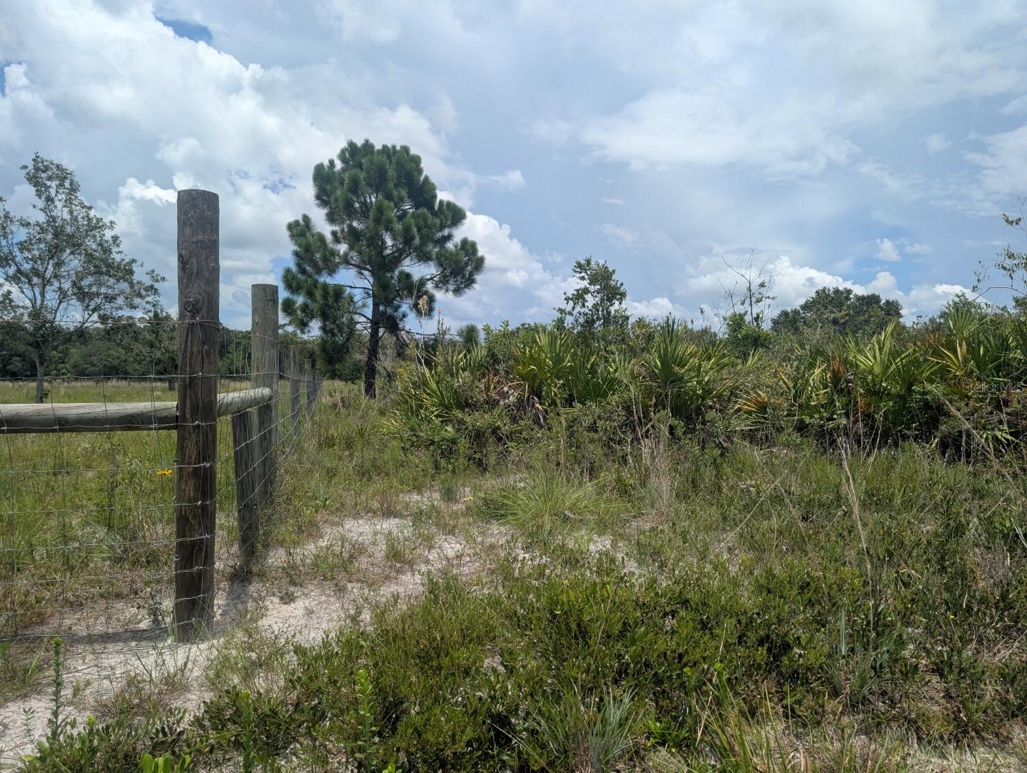 18235 NW 250TH ST, OKEECHOBEE, FL — photo 22