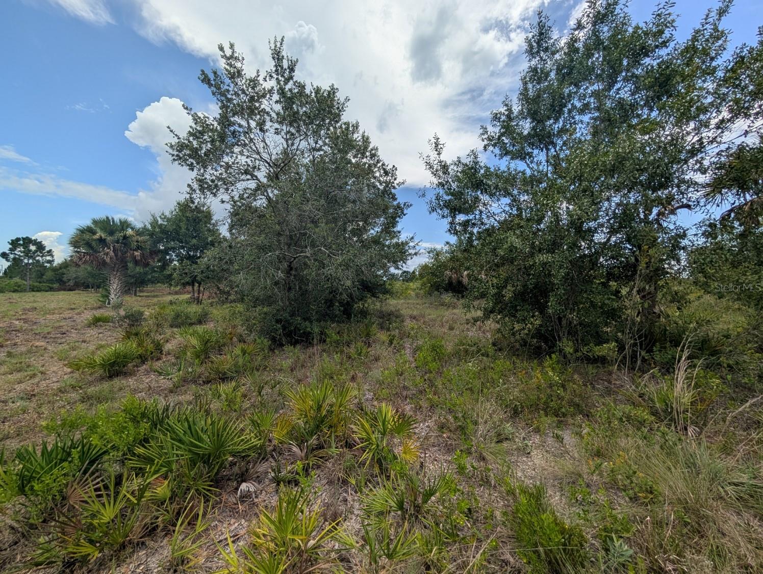 18235 NW 250TH ST, OKEECHOBEE, FL — photo 23