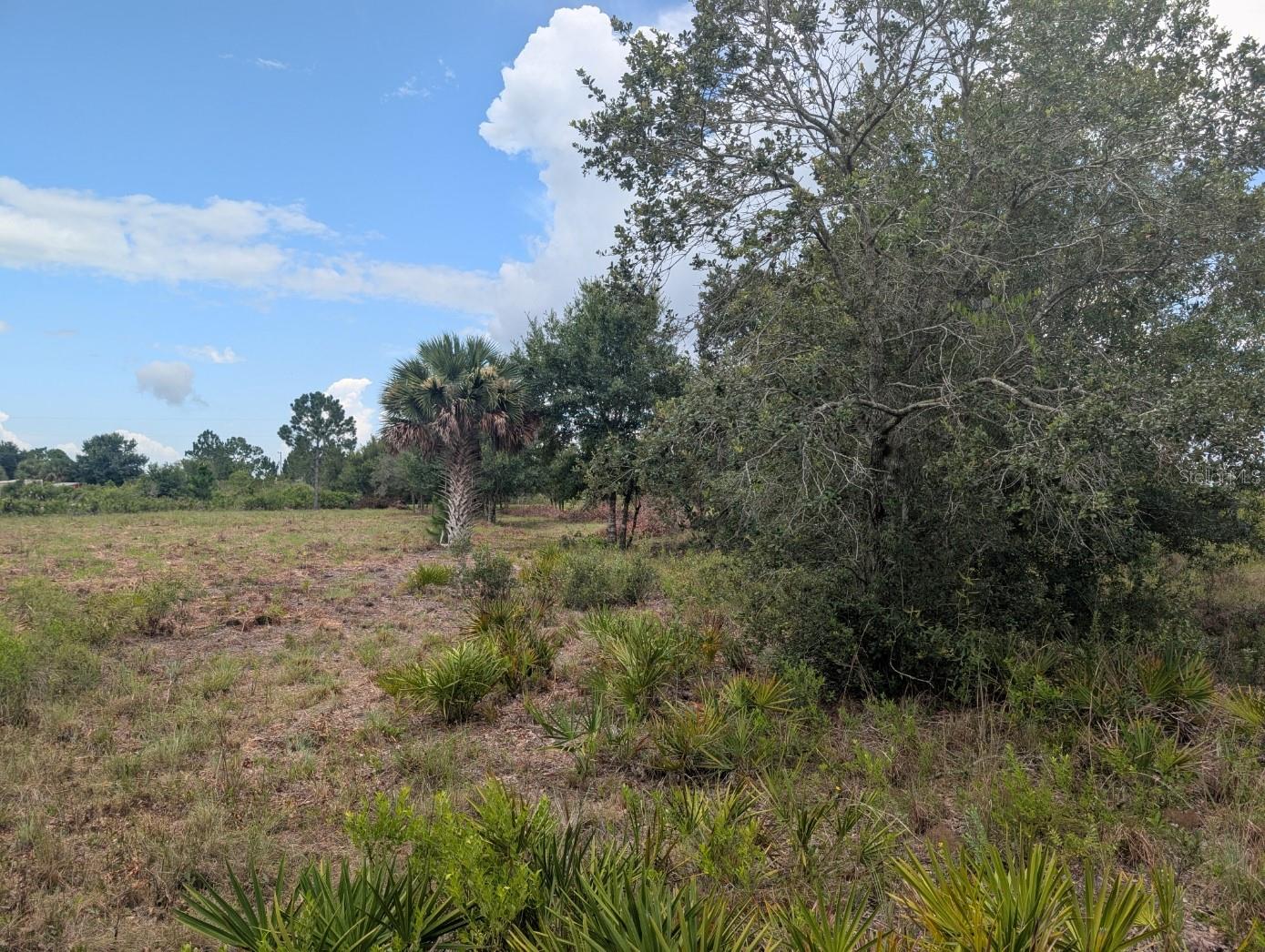 18235 NW 250TH ST, OKEECHOBEE, FL — photo 24