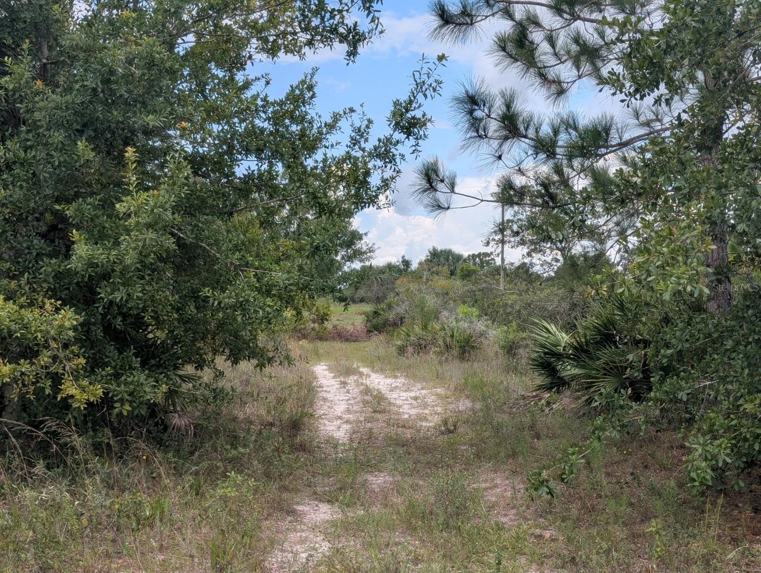 18235 NW 250TH ST, OKEECHOBEE, FL — photo 25