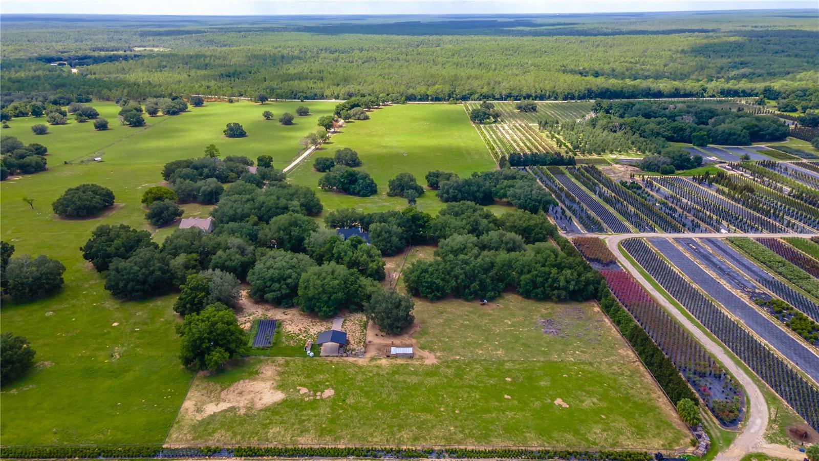 23100 SE HIGHWAY 42, UMATILLA, FL — photo 83