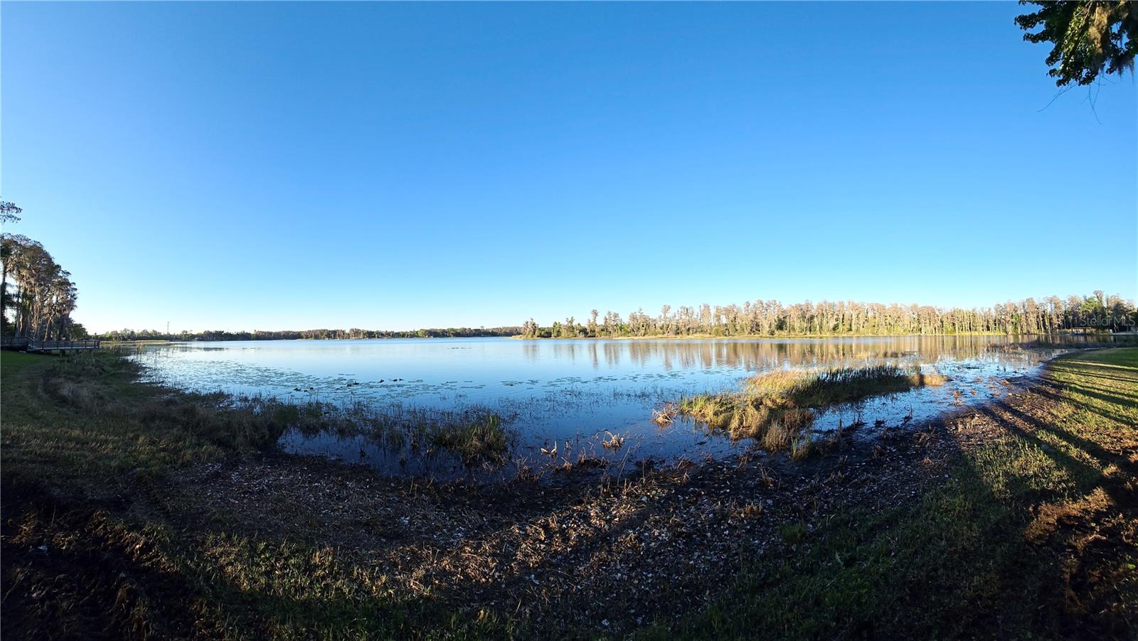 DEBUEL RD, LUTZ, FL — photo 13