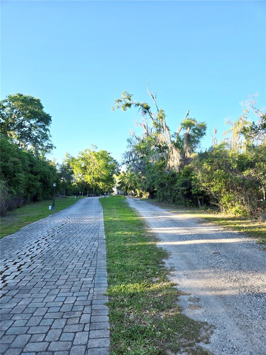 DEBUEL RD, LUTZ, FL — photo 18