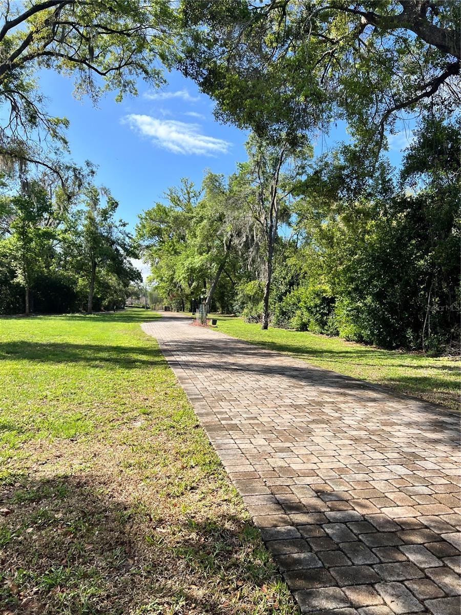 DEBUEL RD, LUTZ, FL — photo 19