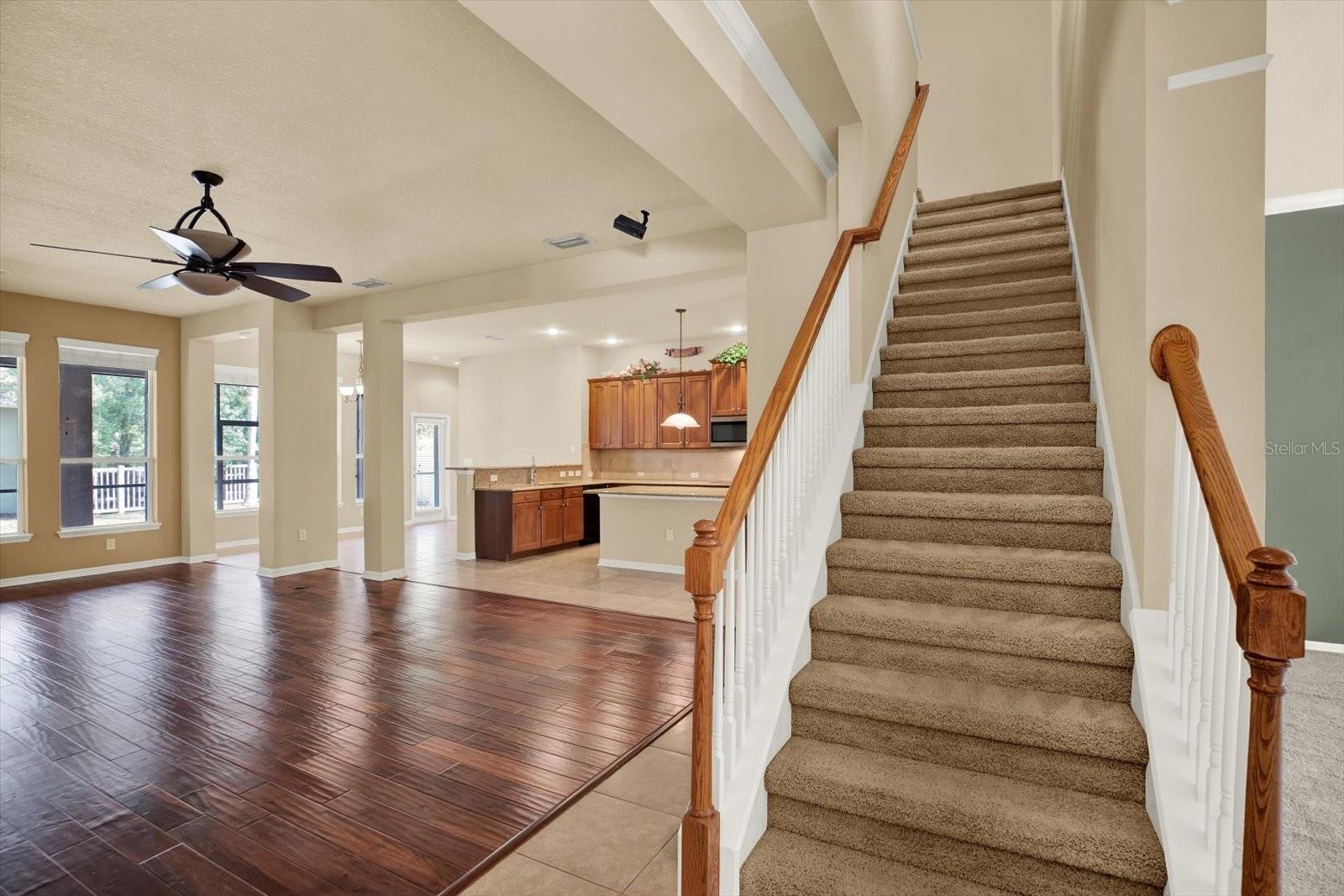 7018 CARDINALWOOD LN, LAND O LAKES, FL — photo 12