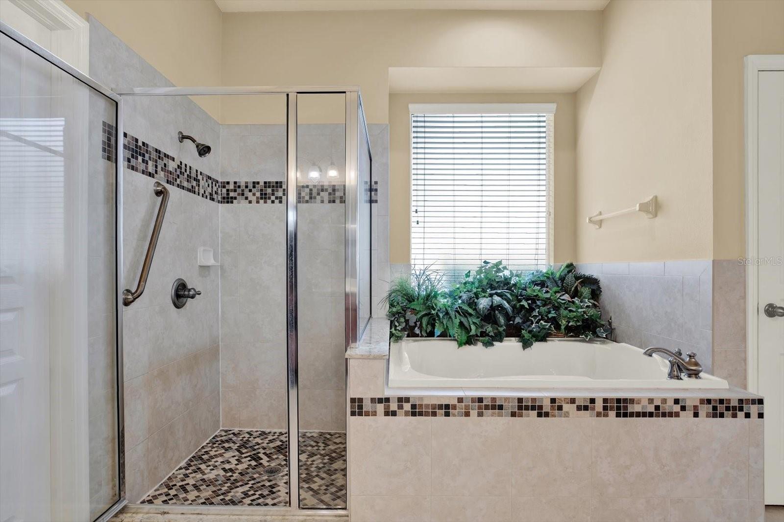 7018 CARDINALWOOD LN, LAND O LAKES, FL — photo 30