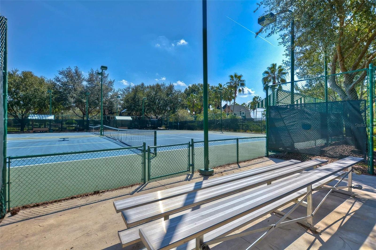 7018 CARDINALWOOD LN, LAND O LAKES, FL — photo 60