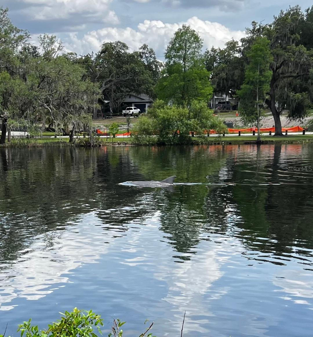 6605 N BOULEVARD, TAMPA, FL — photo 18