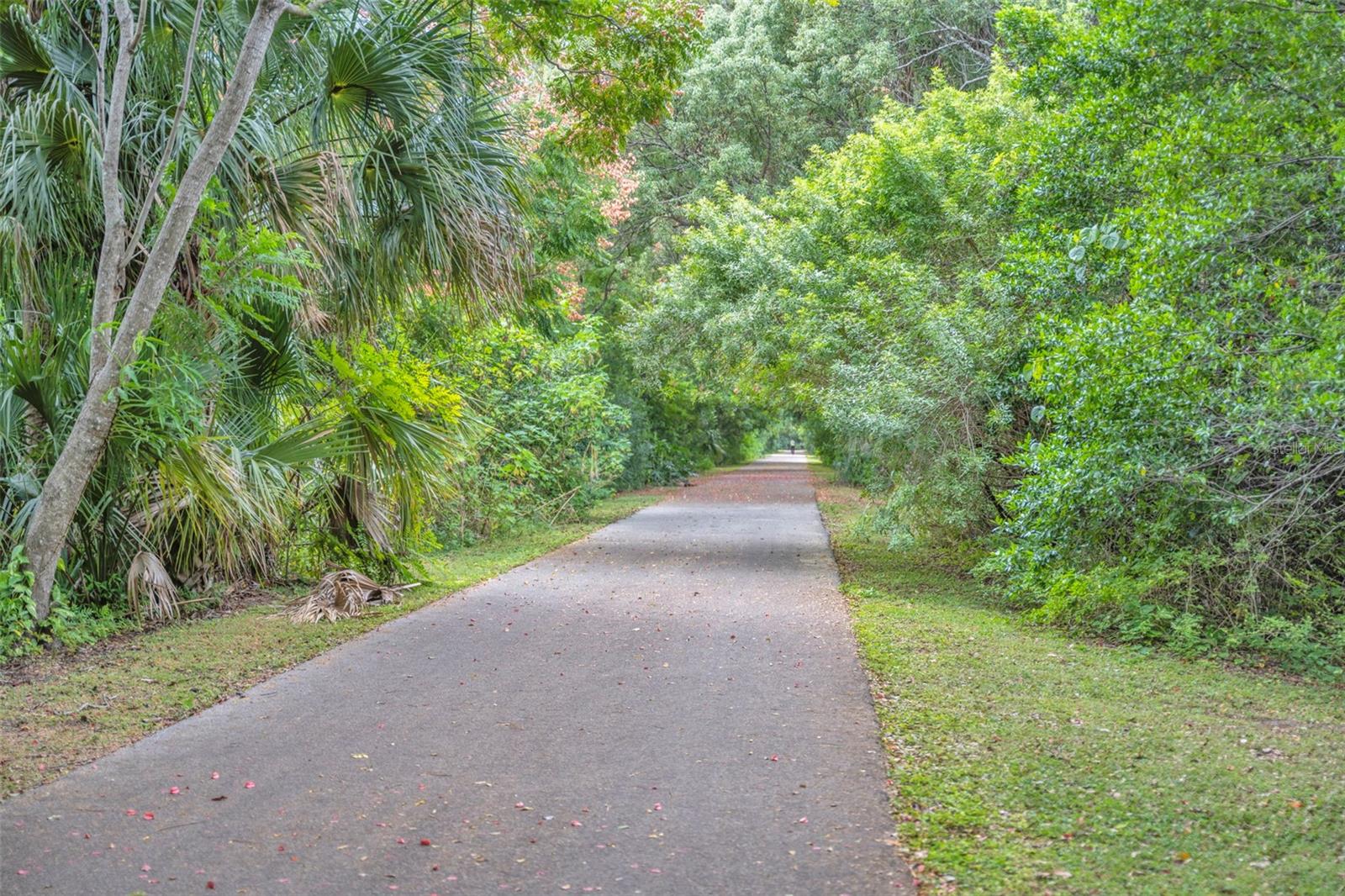 1507 GOLFSIDE DR, WINTER PARK, FL — photo 42