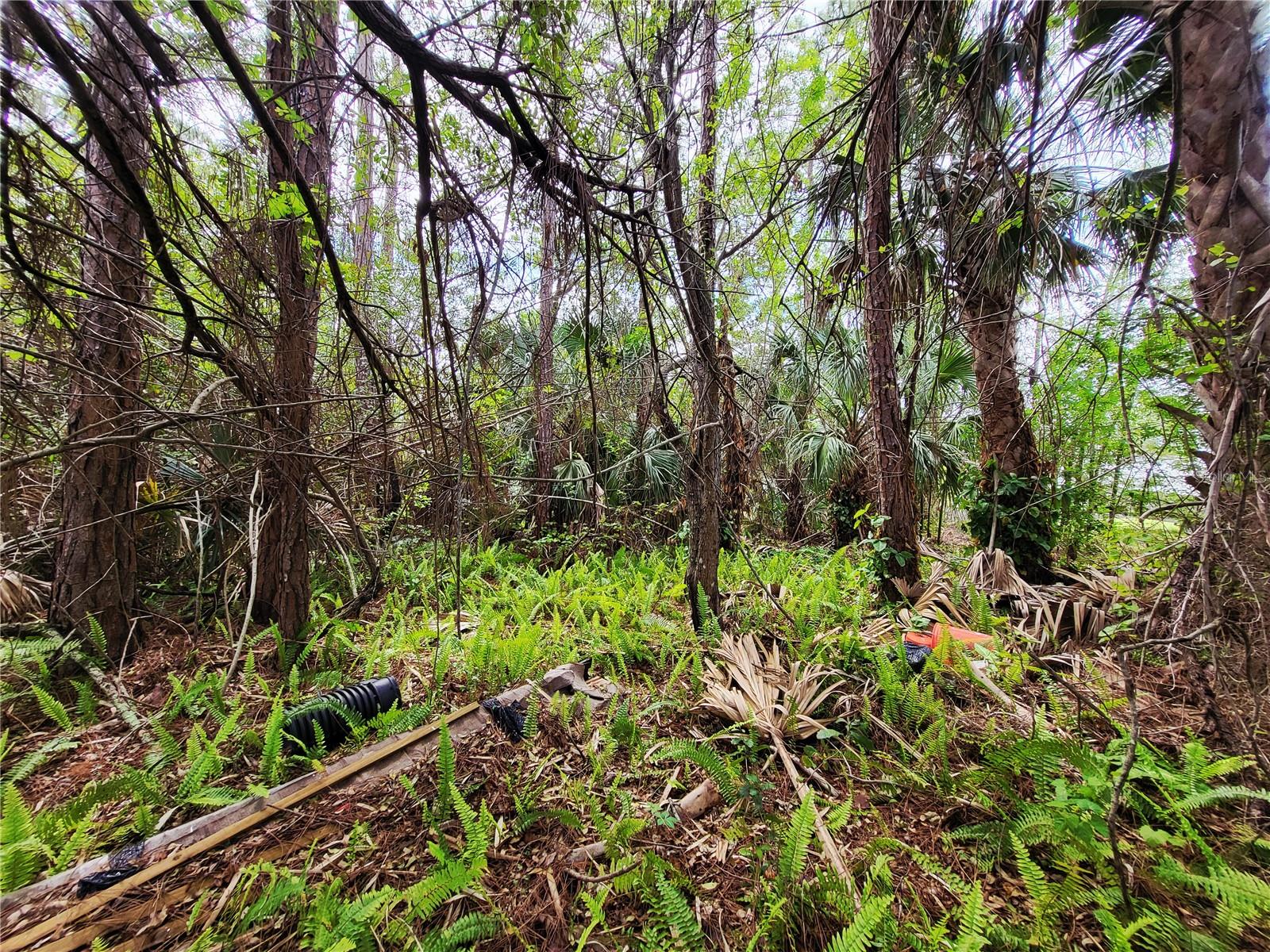 1720 LANTANA CT NW, PALM BAY, FL — photo 4