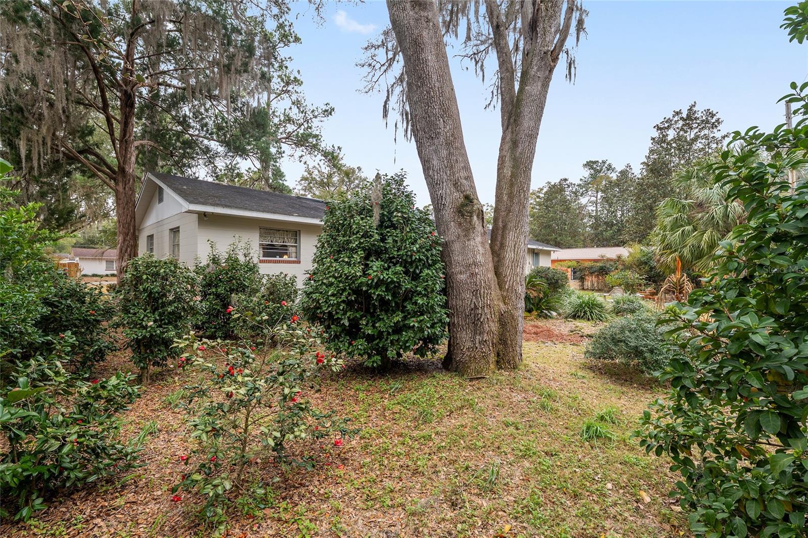 3710 NW 22ND PL, GAINESVILLE, FL — photo 44