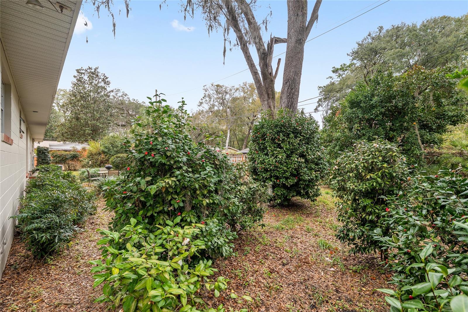 3710 NW 22ND PL, GAINESVILLE, FL — photo 46