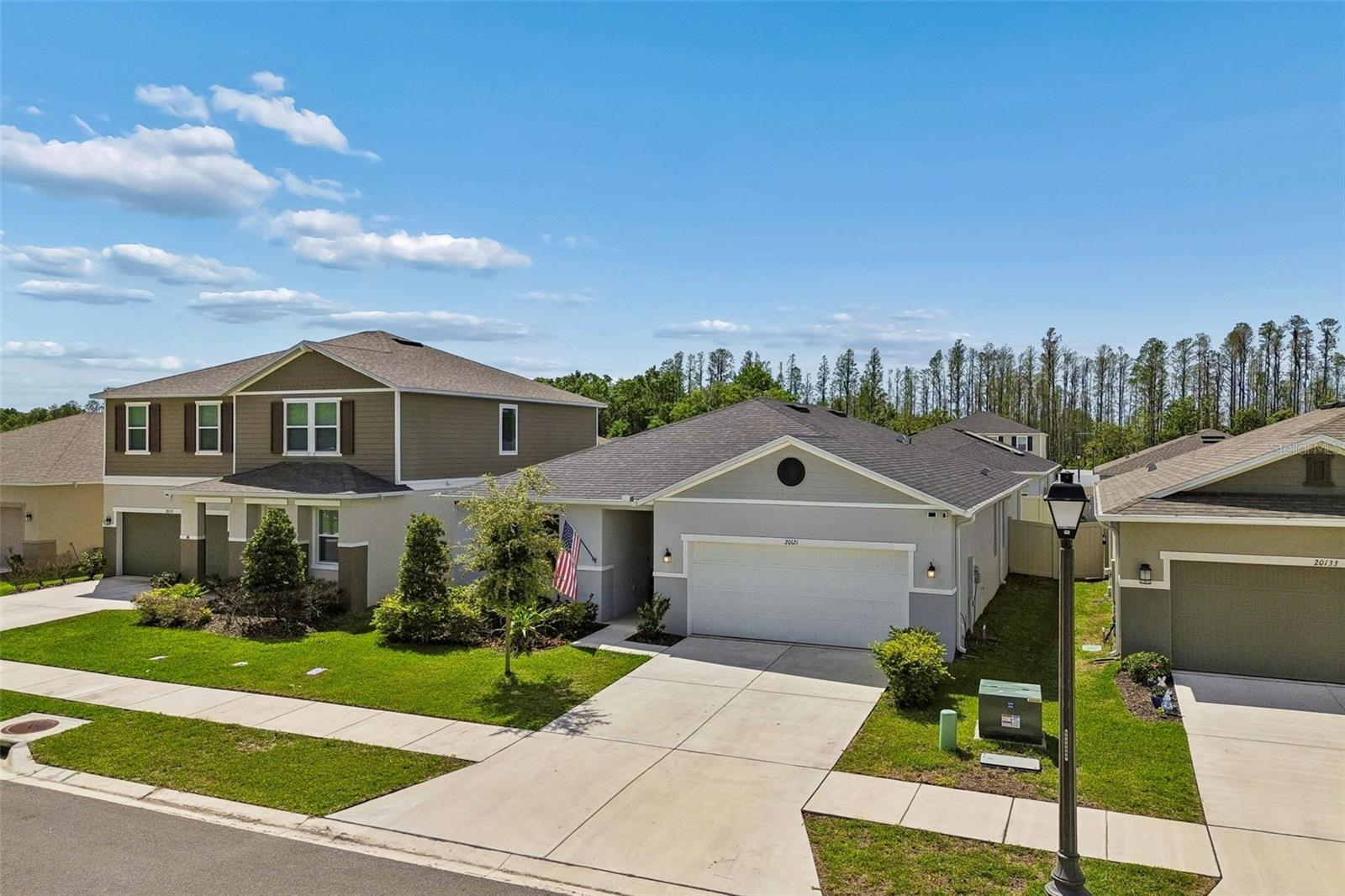 20121 AZUL MARBLE LOOP, LAND O LAKES, FL — photo 3