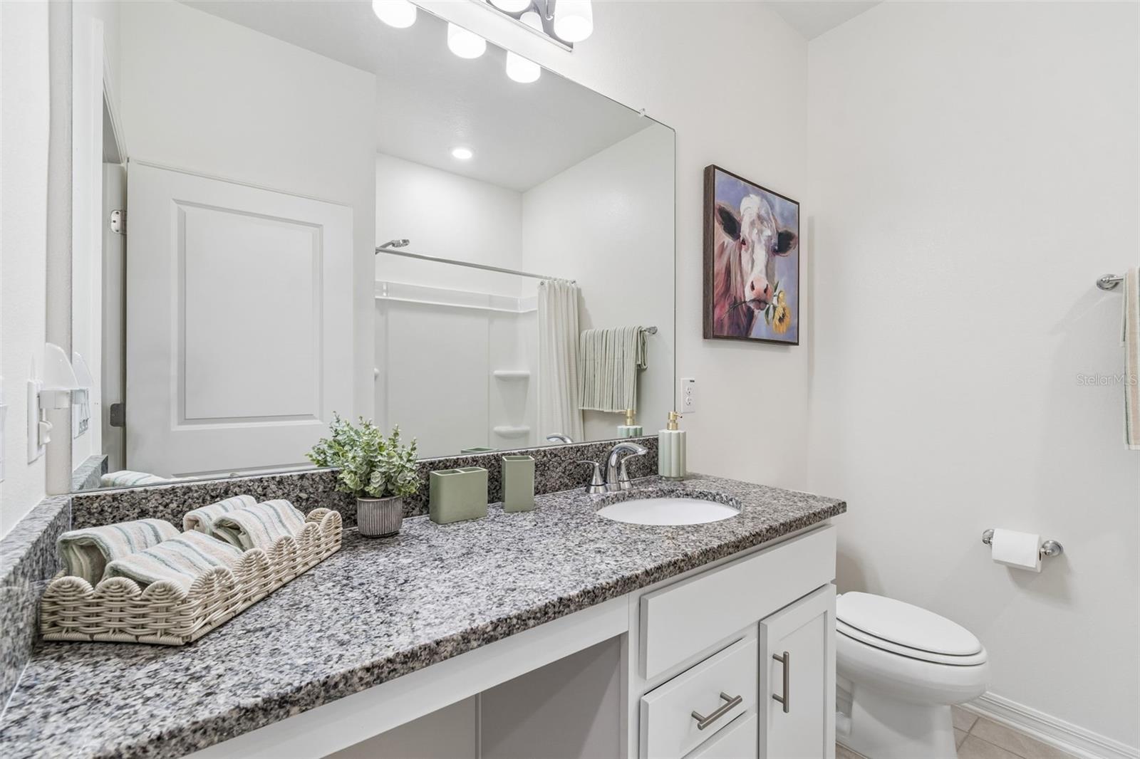 20121 AZUL MARBLE LOOP, LAND O LAKES, FL — photo 13