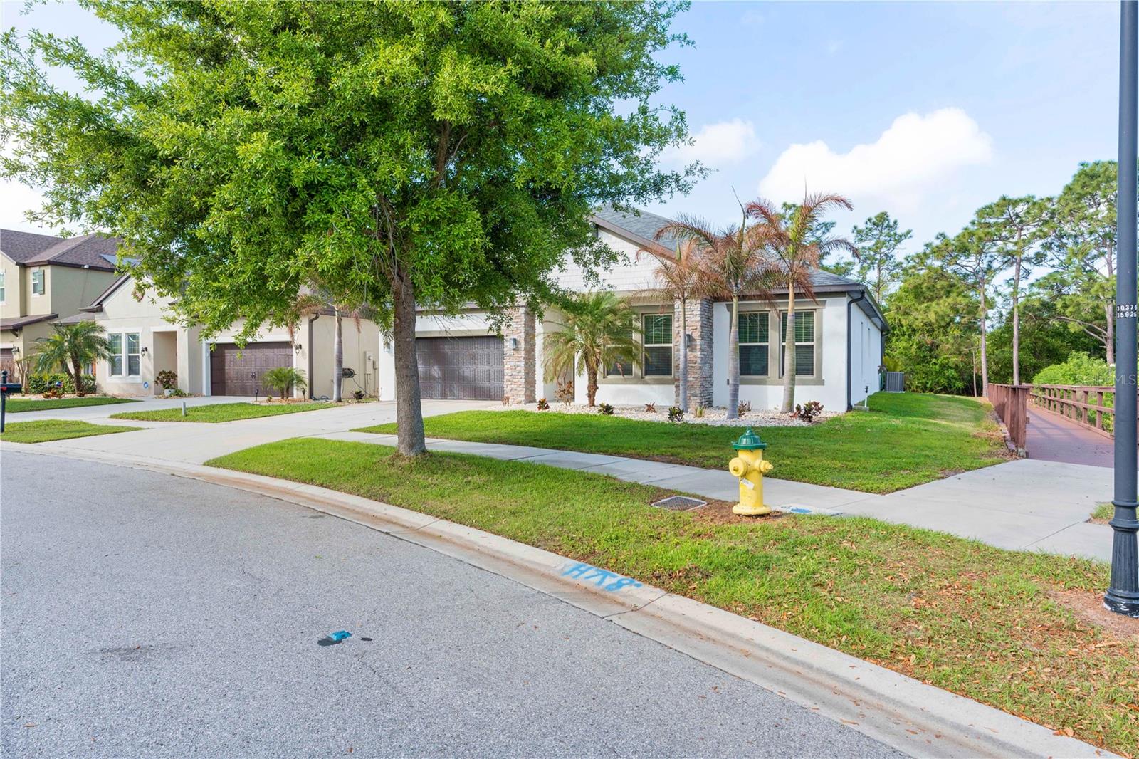 11814 CROSS VINE DR, RIVERVIEW, FL — photo 9