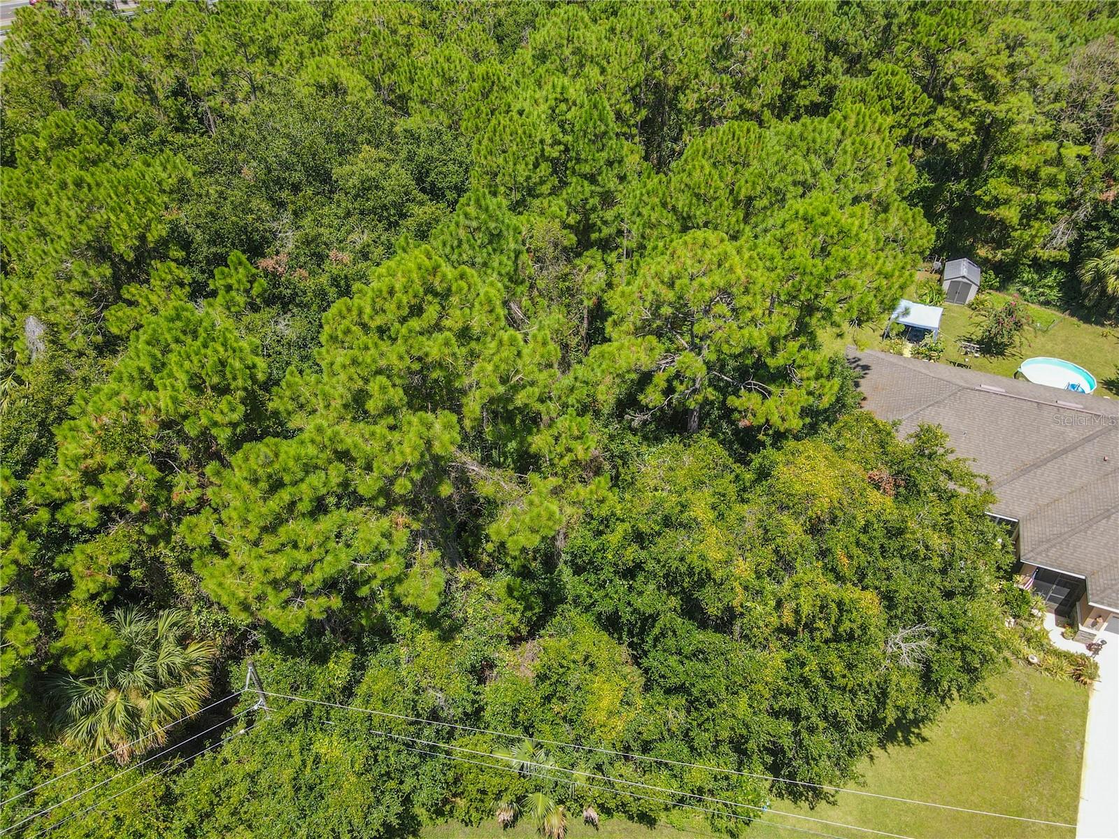 47 FANSHAWE LN, PALM COAST, FL — photo 2