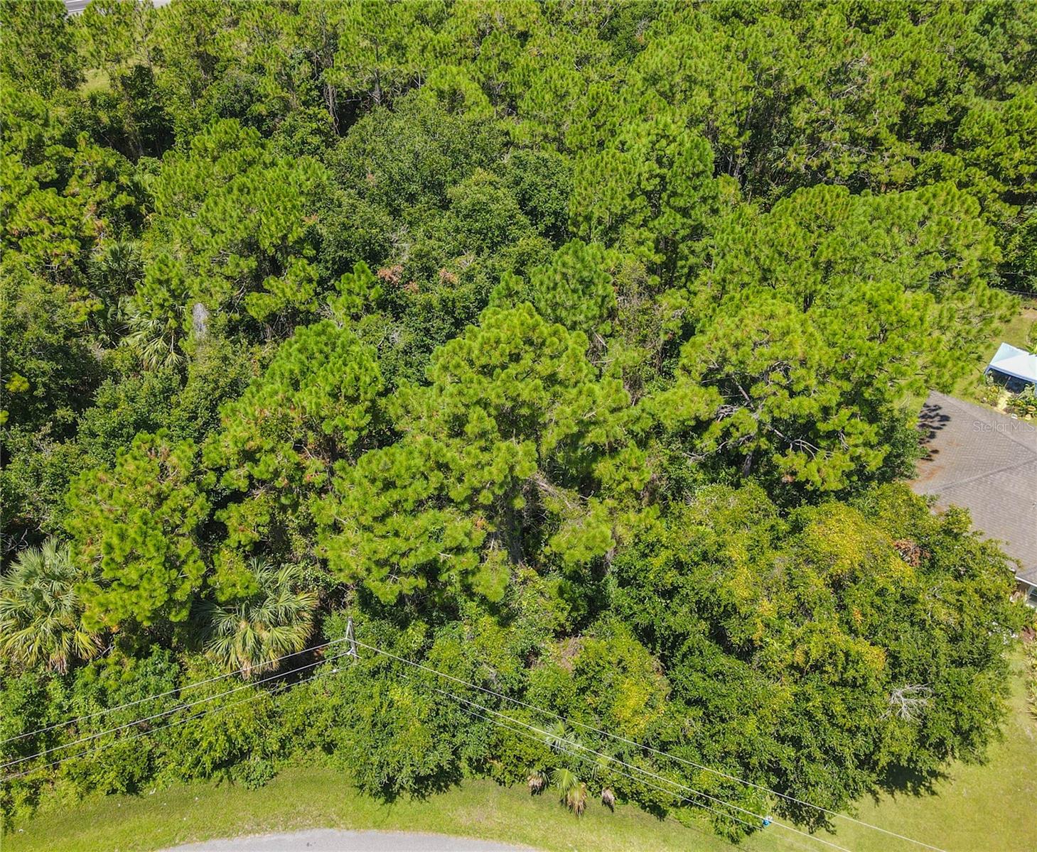 47 FANSHAWE LN, PALM COAST, FL — photo 4