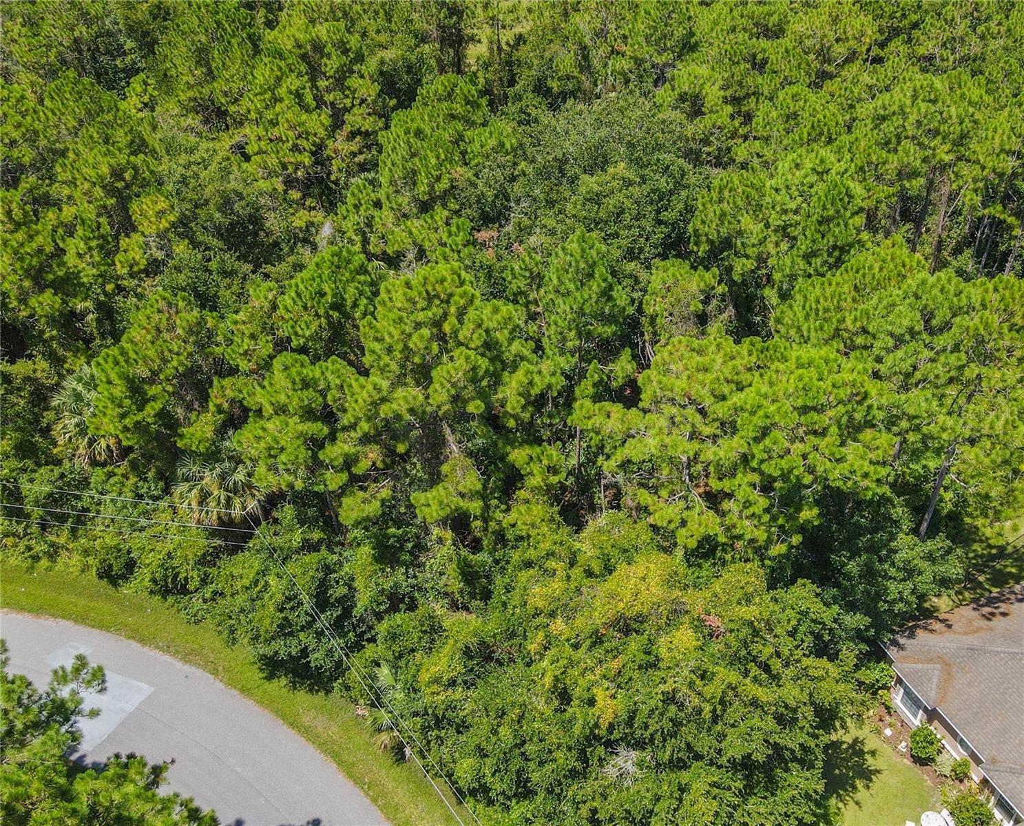 47 FANSHAWE LN, PALM COAST, FL — photo 5