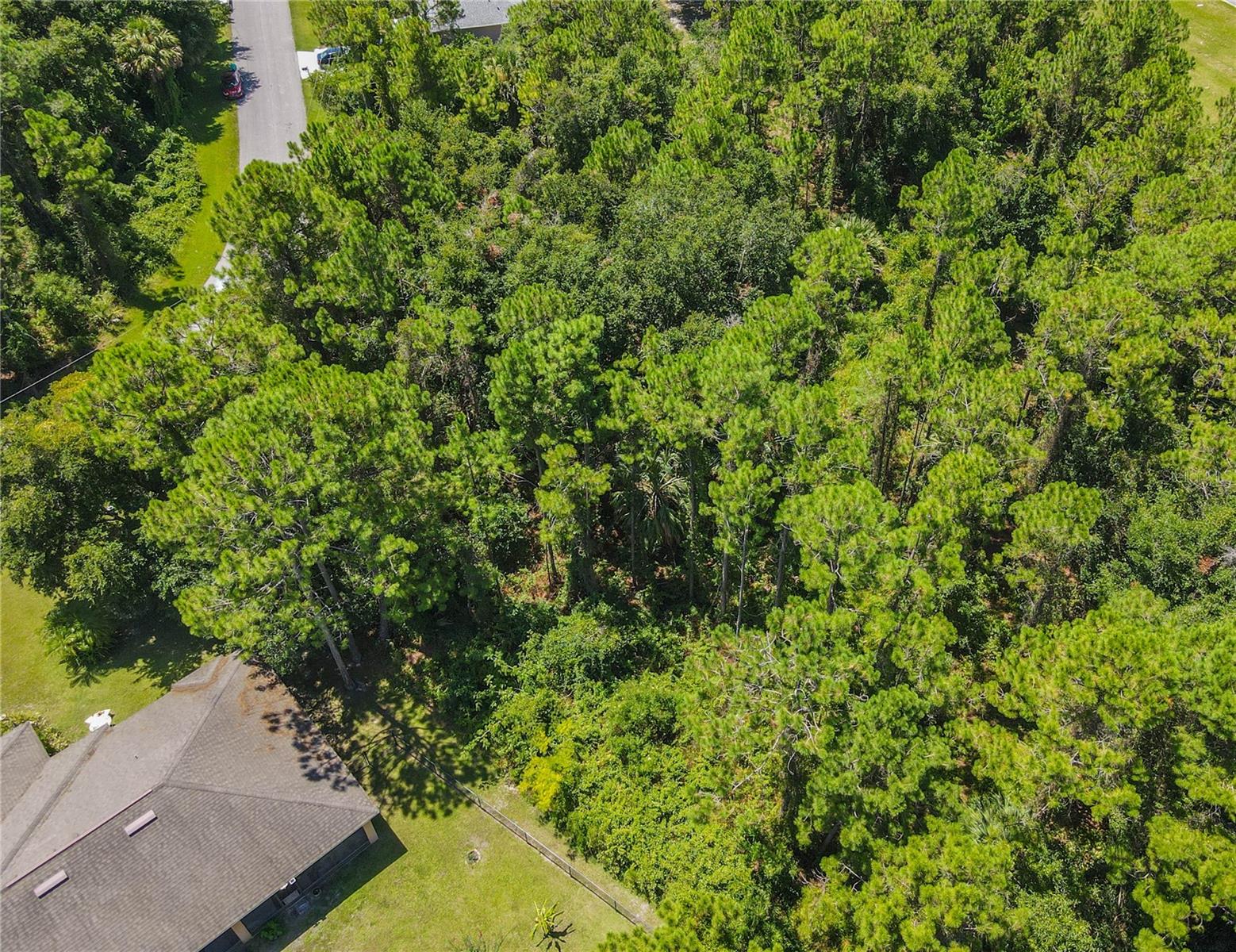 47 FANSHAWE LN, PALM COAST, FL — photo 12