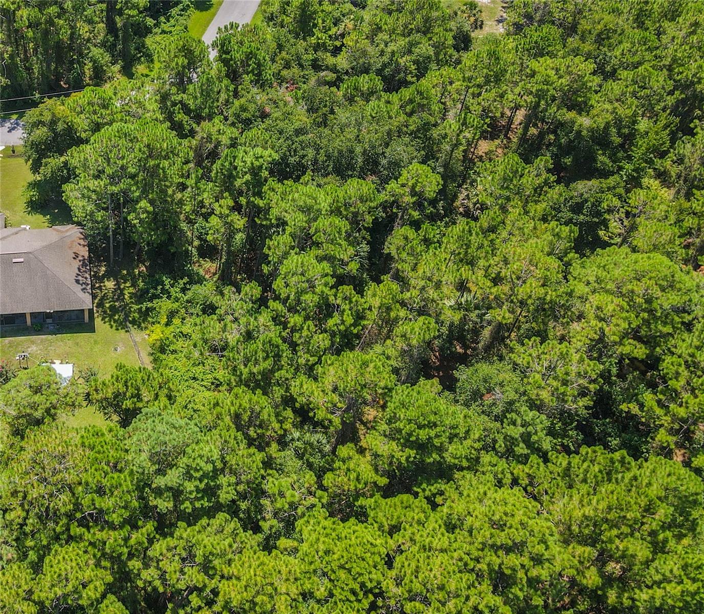 47 FANSHAWE LN, PALM COAST, FL — photo 14