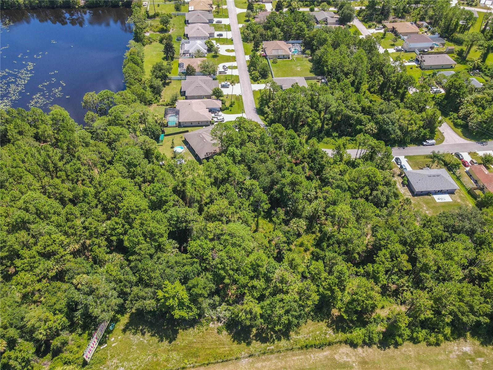 47 FANSHAWE LN, PALM COAST, FL — photo 27