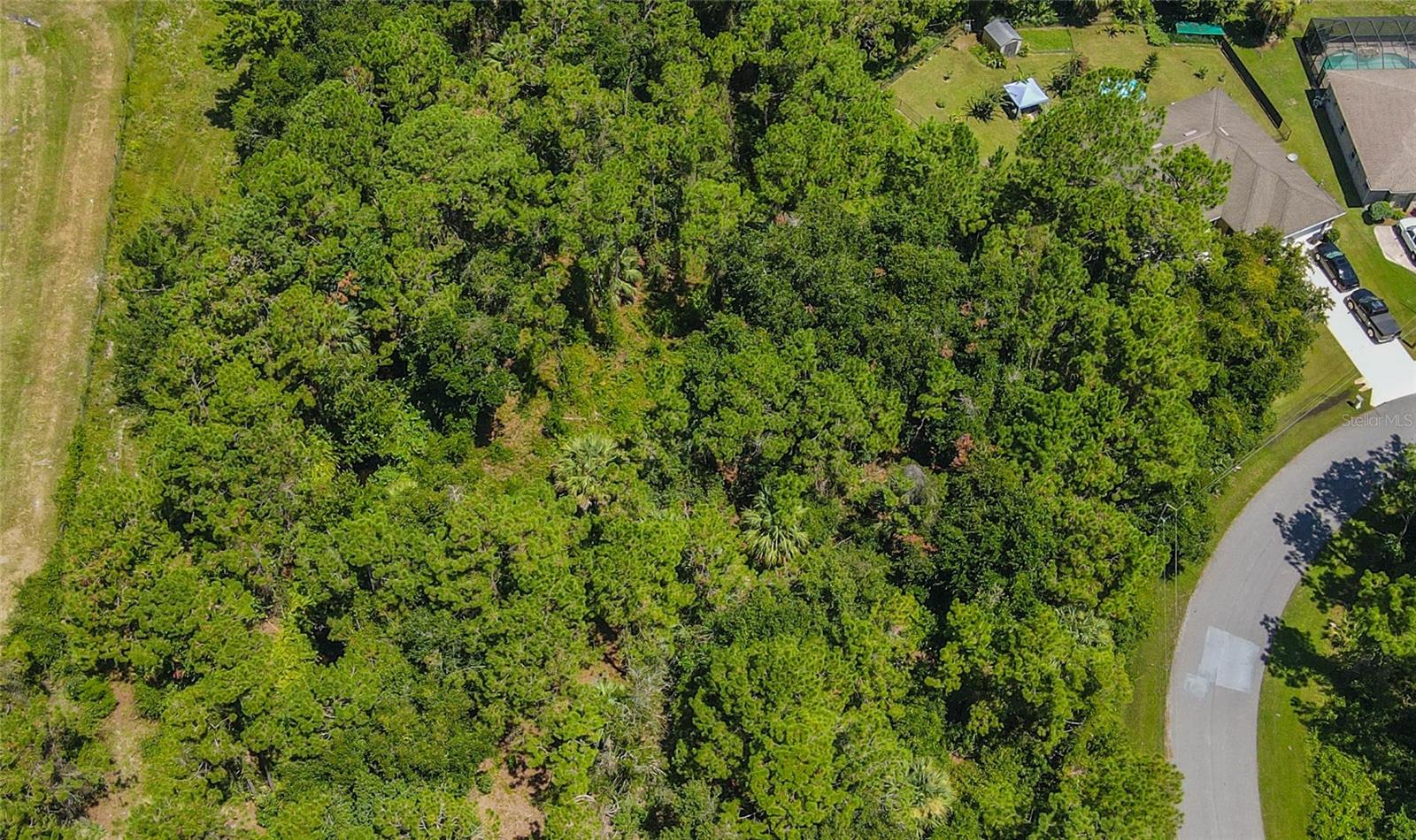 47 FANSHAWE LN, PALM COAST, FL — photo 40
