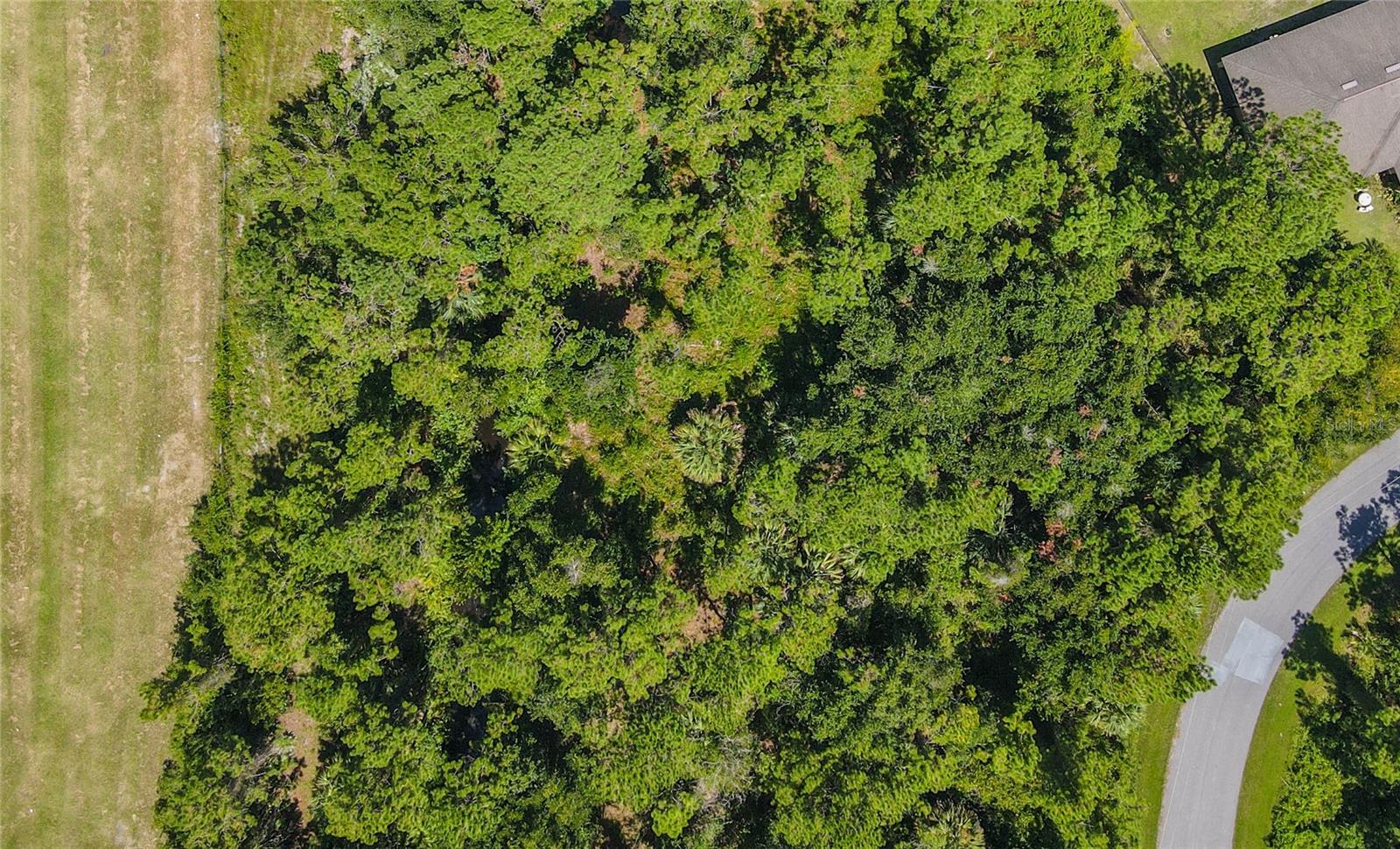 47 FANSHAWE LN, PALM COAST, FL — photo 44